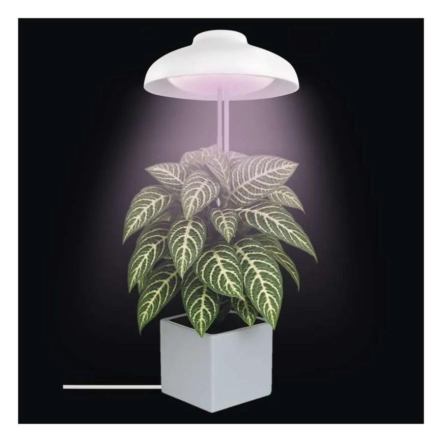 Lampe d'intérieur LED pour culture de plantes GROW LED/5W/5V