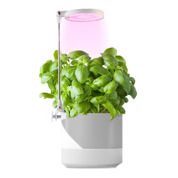 Lampe d'intérieur pour la culture de plantes LED/10W/5V 3200K