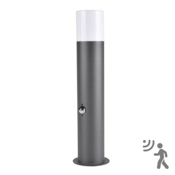 Lampe extérieure avec détecteur DALLAS 1xE27/12W/230V IP44 graphite