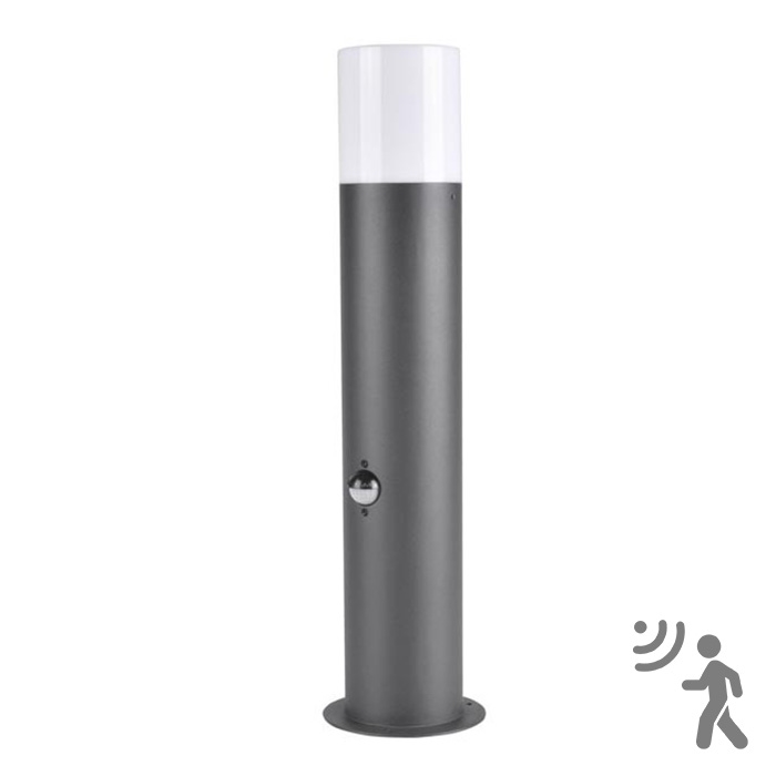 Lampe extérieure avec détecteur DALLAS 1xE27/12W/230V IP44 graphite