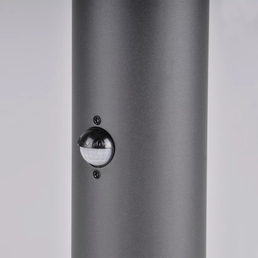 Lampe extérieure avec détecteur DALLAS 1xE27/12W/230V IP44 graphite