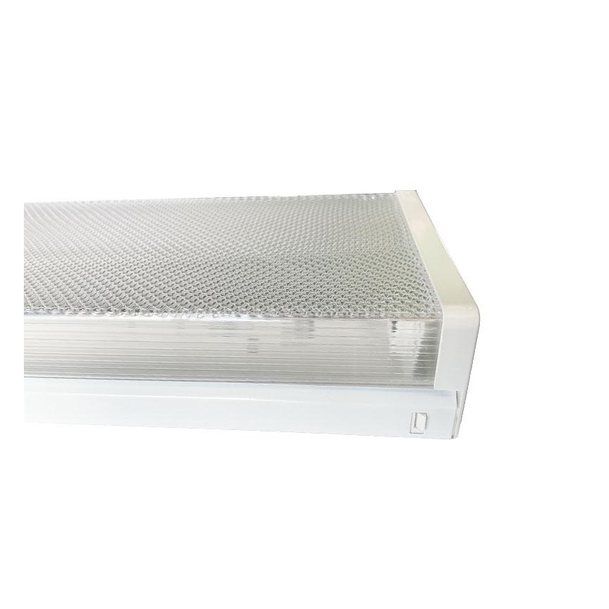 Lampe fluorescente 2xG13/18W/230V 124 cm