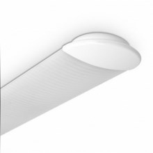 Lampe fluorescente ECO T8 2xG13/18W/230V