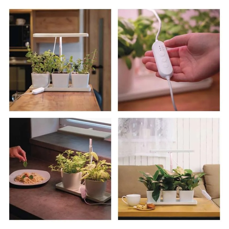 Lampe LED d'intérieur dimmable pour culture de plantes GROW LED/7W/5V