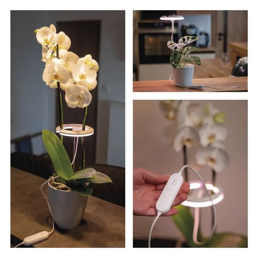 Lampe LED d'intérieur dimmable pour la culture des plantes GROW LED/8W/5V