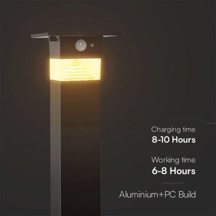 Lampe solaire avec détecteur LED/2,5W/3,7V IP54 3000K