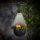 Lampe solaire LED avec jardinière LED/1,2V 400 mAh IP44 noire