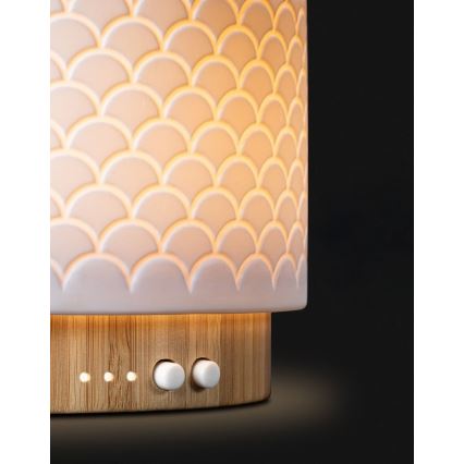 Lanaform - Diffuseur d'arômes ultrasonique LED 5V 280 ml USB