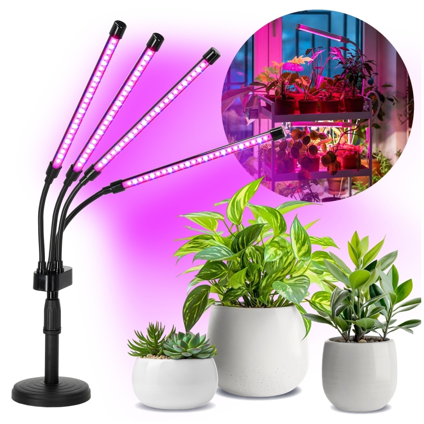 LED à intensité variable flexible lampe de table pour la culture des plantes VITARO 4xLED/10W/230V noir