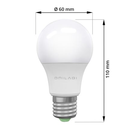 LED Ampoule ECOLINE A60 E27/15W/230V 4000K - Brilagi