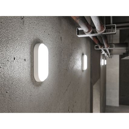 LED Applique murale d'extérieur LED/12W/230V IP54 blanche