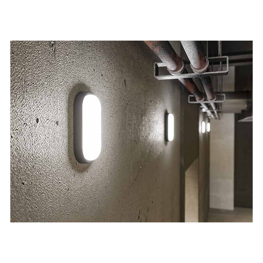 LED Applique murale d'extérieur LED/6W/230V IP54 noire