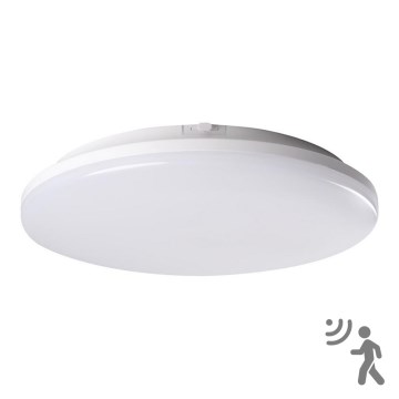 LED Badkamer Lamp met Sensor STIVI LED/24W/230V IP65