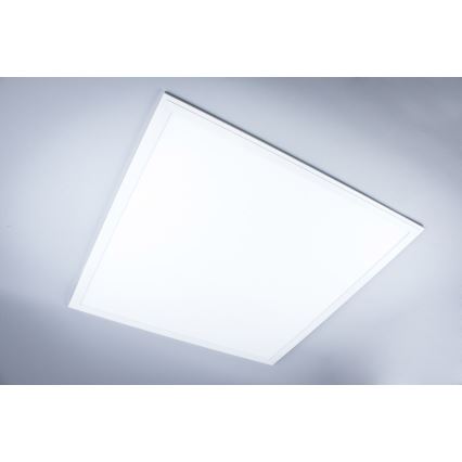 LED bevestigd lichtpaneel badkamer LED/40W/230V 4000K 59,5x59,5 cm IP65 wit