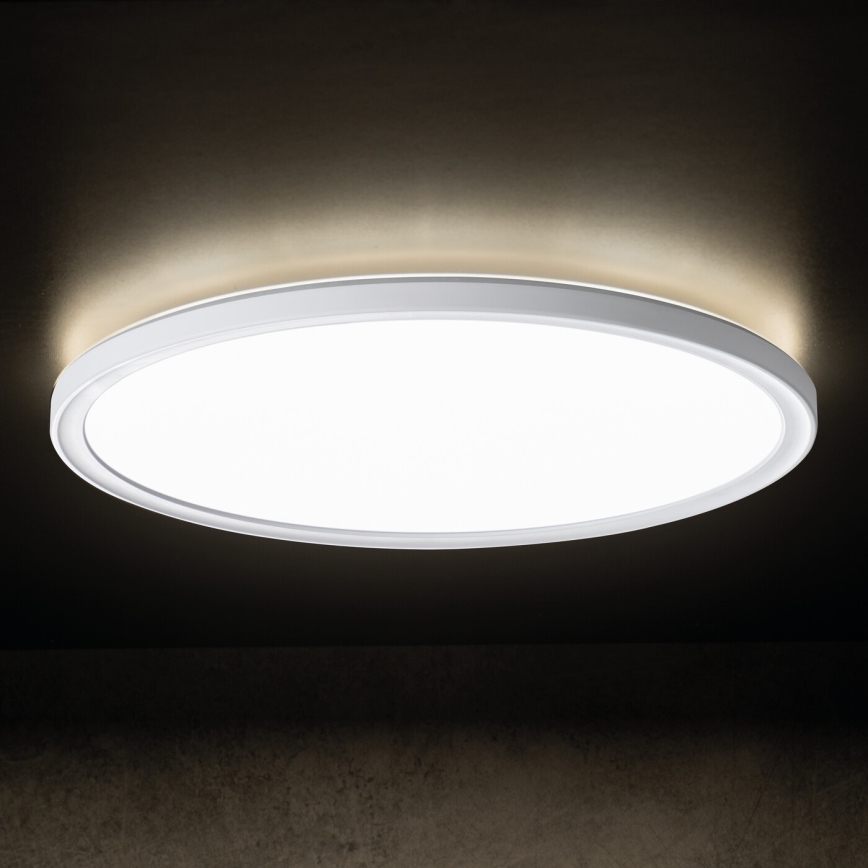 LED Badkamer plafondlamp AZPO LED/11,8W/230V diameter 22,5 cm IP54 wit