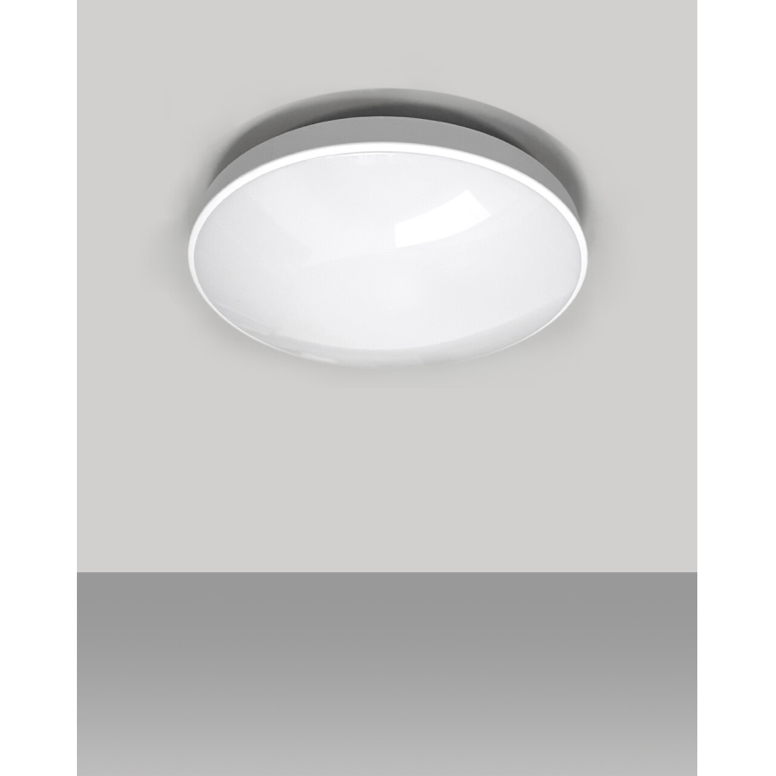 LED Badkamer plafondlamp CIRCLE LED/24W/230V 4000K diameter 37 cm IP44 wit