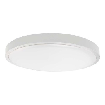 LED Badkamer plafondlamp LED/18W/230V 4000K IP44 diameter 22,5 cm wit