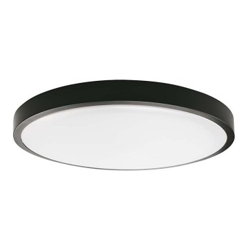 LED Badkamer plafondlamp LED/18W/230V 4000K IP44 zwart