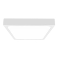 LED Badkamer plafondlamp LED/18W/230V 6500K IP44 22,5x22,5 cm wit
