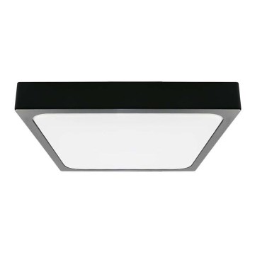 LED Badkamer plafondlamp LED/18W/230V 6500K IP44 zwart