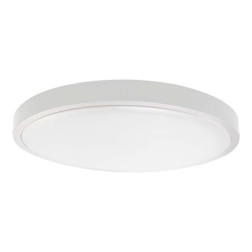 LED Badkamer plafondlamp LED/24W/230V 3000K IP44 wit