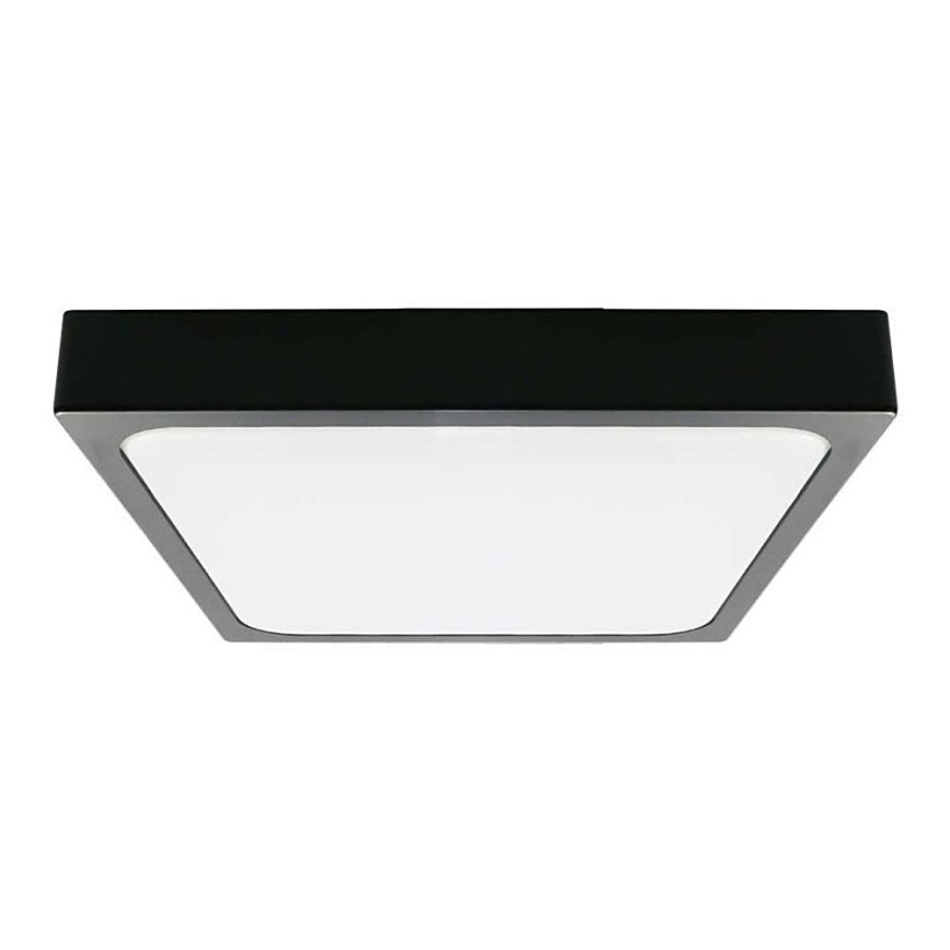 LED Badkamer plafondlamp LED/24W/230V 6500K IP44 zwart