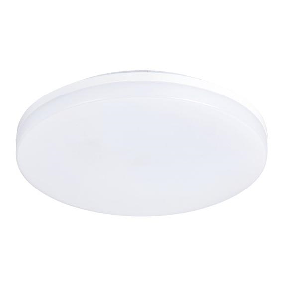 LED Badkamer plafondlamp LED / 24W / 230V IP54