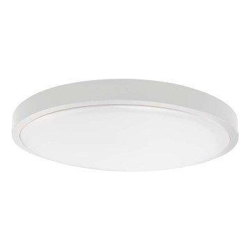 LED Badkamer plafondlamp LED/36W/230V 6500K IP44 wit