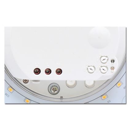 LED Badkamer plafondlamp met sensor VICTOR LED/25W/230V IP44