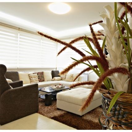 LED Badkamer plafondlamp met sensor VICTOR LED/25W/230V IP44