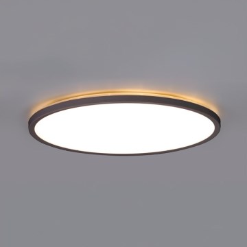 LED Badkamer plafondlamp NIVERA LED/12W/230V IP54 3000/4000/6000K diameter 22,5 cm zwart
