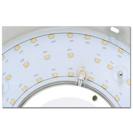 LED Badkamer plafondlamp VICTOR LED/25W/230V IP44