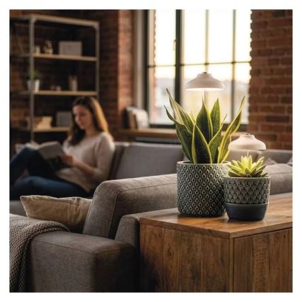 LED binnenlamp voor het kweken van planten GROW LED/5W/5V