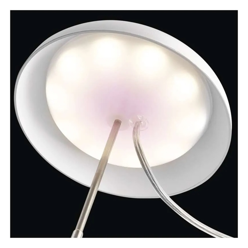 LED binnenlamp voor het kweken van planten GROW LED/5W/5V