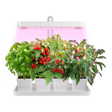 LED Binnenlamp voor het kweken van planten LED/20W/5V 3500K
