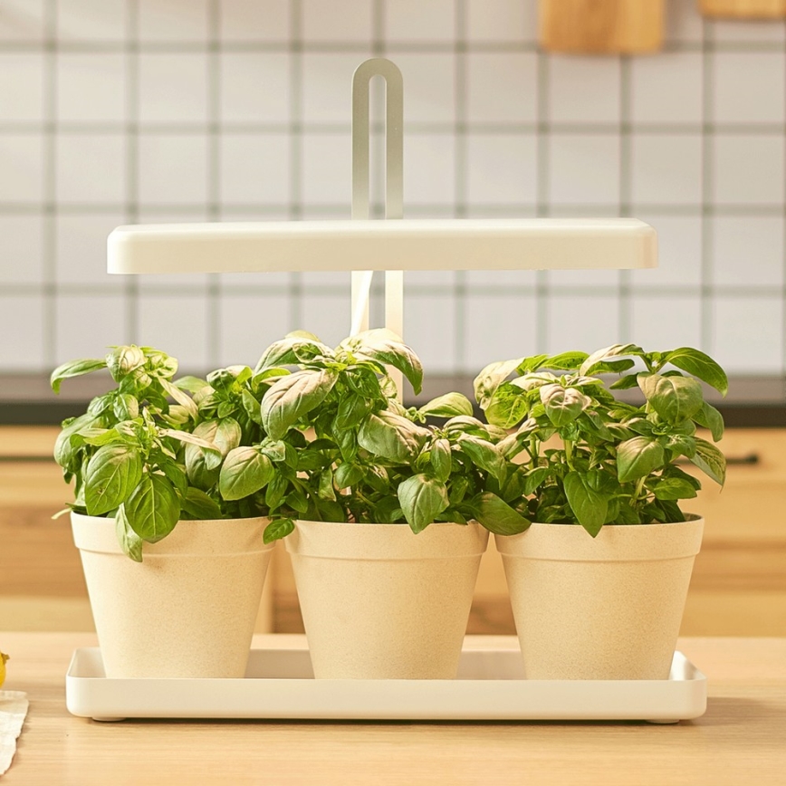 LED Binnenlamp voor het kweken van planten LED/20W/5V 3500K