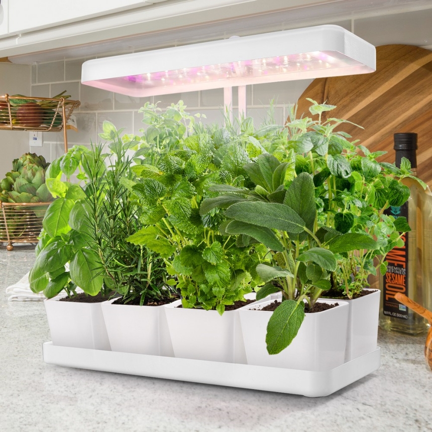 LED Binnenlamp voor het kweken van planten LED/20W/5V 3500K