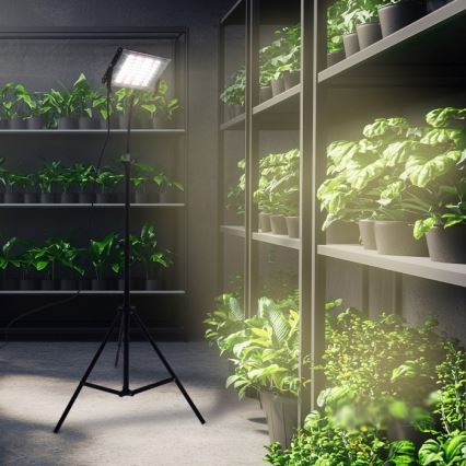 LED Bouwlamp met een standaard voor het kweken van planten FIRON LED/45W/230V IP54 zwart