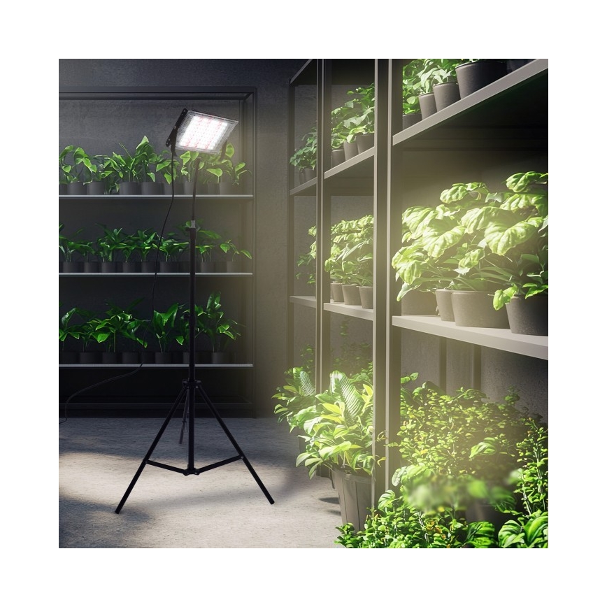 LED Bouwlamp met een standaard voor het kweken van planten FIRON LED/45W/230V IP54 zwart