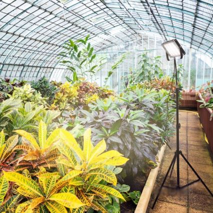LED Bouwlamp met een standaard voor het kweken van planten FIRON LED/45W/230V IP54 zwart