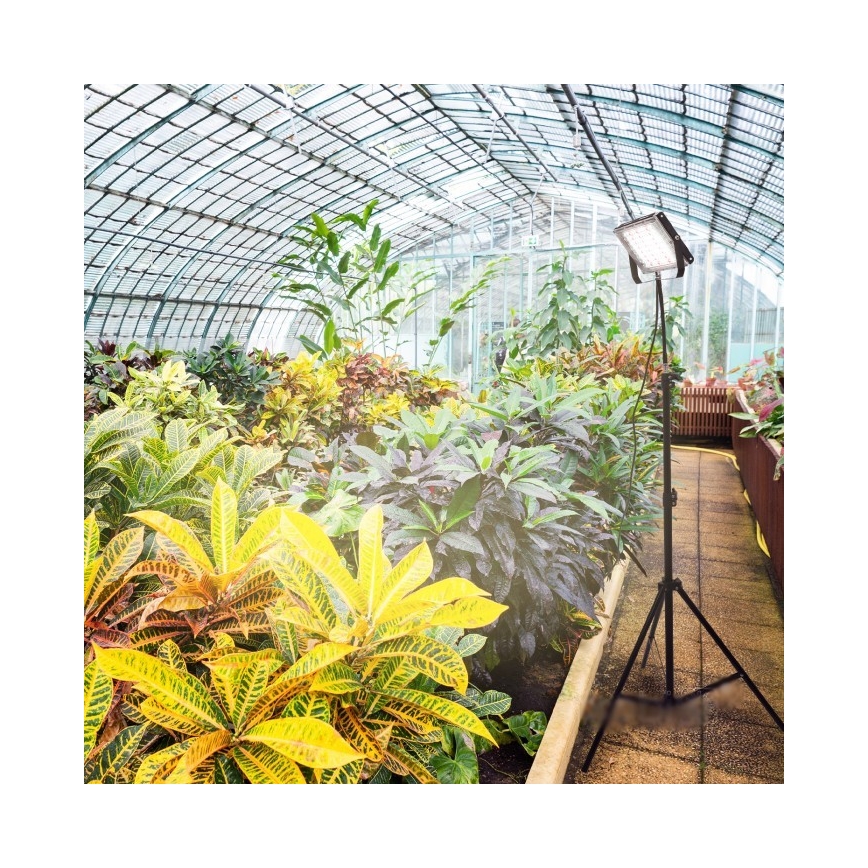 LED Bouwlamp met een standaard voor het kweken van planten FIRON LED/45W/230V IP54 zwart