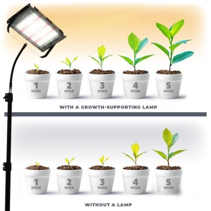 LED Bouwlamp met een standaard voor het kweken van planten FIRON LED/45W/230V IP54 zwart