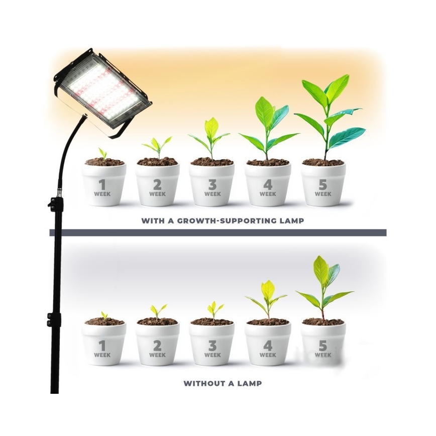 LED Bouwlamp met een standaard voor het kweken van planten FIRON LED/45W/230V IP54 zwart