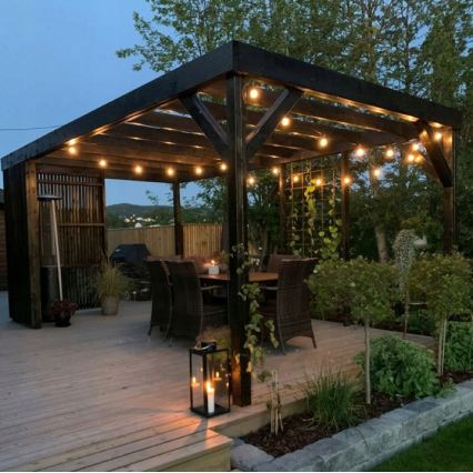 LED buiten decoratieve lichtslinger 20xE27/1W/230V 11,44 m IP44 zwart