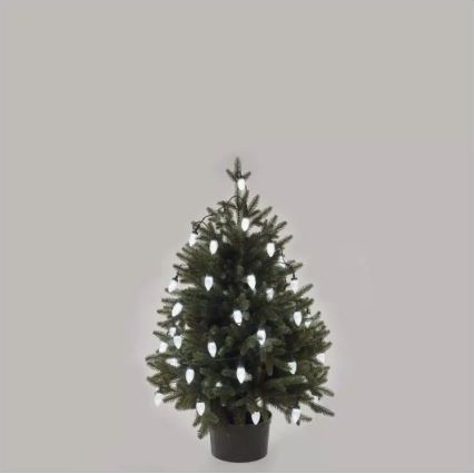 LED buiten kerstlichtsnoer 50x LED / 8 functies 14,8 m IP44 koud wit