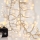 LED buiten kerstlichtsnoer CLUSTER 588xLED/8 functies 8,5 m IP44 warm wit
