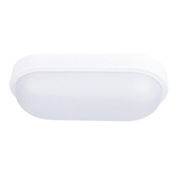 LED Buiten plafondlamp LED/20W/230V IP54