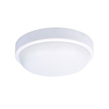 LED Buiten plafondlamp LED/20W/230V IP54