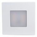 LED buiten-traplamp LED/1,7W/230V 3000/4000/6000K IP54 wit