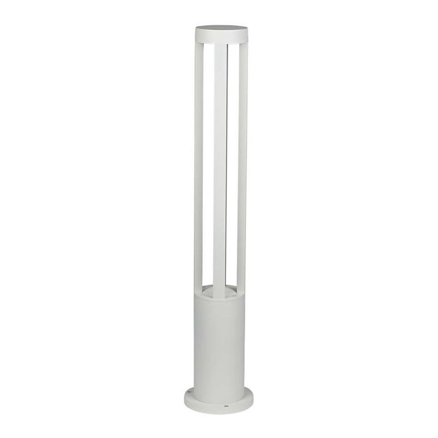 LED Buitenlamp LED/10W/230V 80cm 6400K IP65 wit